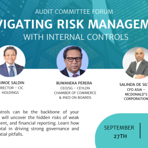 Navigating Risk Management with Internal Controls